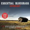 Download track I'm A Man Of Constant Sorrow