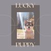 Download track Canine Lullabies, Pt. 1
