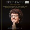 Download track Große Sonate Für Das Hammer-Klavier, Op. 106 IV. Largo - Un Poco Più Vivace - Tempo I - Allegro - Tempo I - Prestissimo - Allegro Risoluto