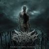 Download track Convergence