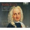 Download track 14. Sonata VII In A Minor - III. Allegro