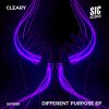 Download track Different Purpose