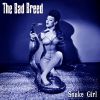 Download track She's My Witch
