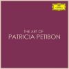 Download track Le Nozze Di Figaro, K. 492 / Act 4: L'ho Perduta... Me Meschina!