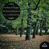 Download track Blue Diamond (Original Mix)