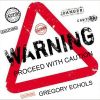 Download track Danger Zone