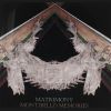 Download track How Do You See Me