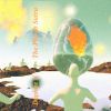 Download track Olive Tree