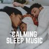 Download track Developing Sleep Melodies, Pt. 35