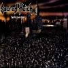 Download track Independent