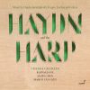 Download track Reged, Hob. XXXIb: 38 (Arr. For Chamber Ensemble)