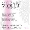 Download track 24. Variations In G Major 'La Bergere Celimene', K359 - 12 Variation XI Adagio