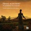 Download track Klavierstücke, D. 946 I. Allegro Assai'