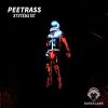 Download track Systematic