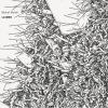 Download track Mer De Siberie Orientale
