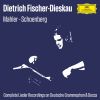 Download track Mahler Kindertotenlieder No. 5, In Diesem Wetter
