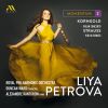 Download track Violin Concerto In D Major, Op. 35 I. Moderato Nobile