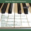 Download track Introduction And Allegro Appassionato (Konzertstück) For Piano And Orchestra In G Major, Op. 92