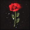 Download track Only You Can See Me (Unplugged)