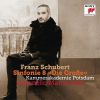 Download track Symphony No. 8 In C Major, D. 944, The Great III. Scherzo. Allegro Vivace