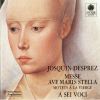 Download track 11. Vultum Tuum Deprecabuntur - Prima Pars