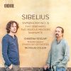Download track Sibelius: Symphony No. 5 In E-Flat Major, Op. 82: I. Tempo Molto Moderato – Allegro Moderato (Ma Poco A Poco Stretto)