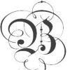 Download track Señor B 17