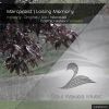 Download track Losing Memory (Cosmic Heaven Remix)