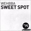 Download track Sweet Spot (Original Mix)