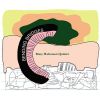 Download track Love In Eight Colors (No. 21)