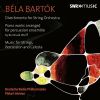 Download track 3. Divertimento For String Orchestra BB 118 Sz. 113 - III. Allegro Assai