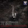 Download track 10. Variatio 9 - Canone Alla Terza