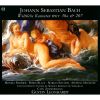 Download track 17. BWV 207 - 4. Recitativo: Dem Nur Allein