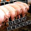Download track Dirty Reason - Attitude (Bad Brains)