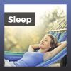 Download track Dreams Of White Noise Sound