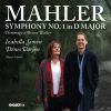 Download track Symphony No. 1 In D Major I. Langsam. Schleppend. Wie Ein Naturlaut – Im Anfang Sehr Gemächlich