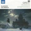 Download track Kalinnikov: Symphony No. 1: I. Allegro Moderato