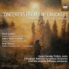 Download track Violin Concerto In D Minor: II. Andante Sostenuto (2)
