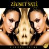 Download track Ahır Zaman