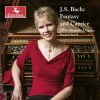 Download track Keyboard Sonata In D Minor, BWV 964: IV. Allegro