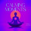 Download track Inner Peace
