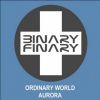 Download track Ordinary World (Binary Finary Remake)