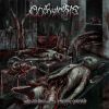 Download track Perversion Through Stages Of Decomposition