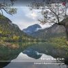 Download track Cello Concerto In D Minor, RV 407 I. Allegro