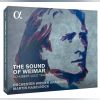 Download track Wanderer-Fantasie, S 366 (After F Schubert): I Allegro Con Fuoco, Ma Non Troppo