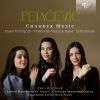 Download track 11. Piano Trio Op. 29 - II. Scherzo. Allegro