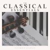Download track Concerto For Strings Allegro