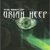 Download track The Wizard