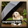 Download track Falling Rain