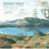 Download track 06 Serenata In C Major- II. Minuetto (Allegretto)